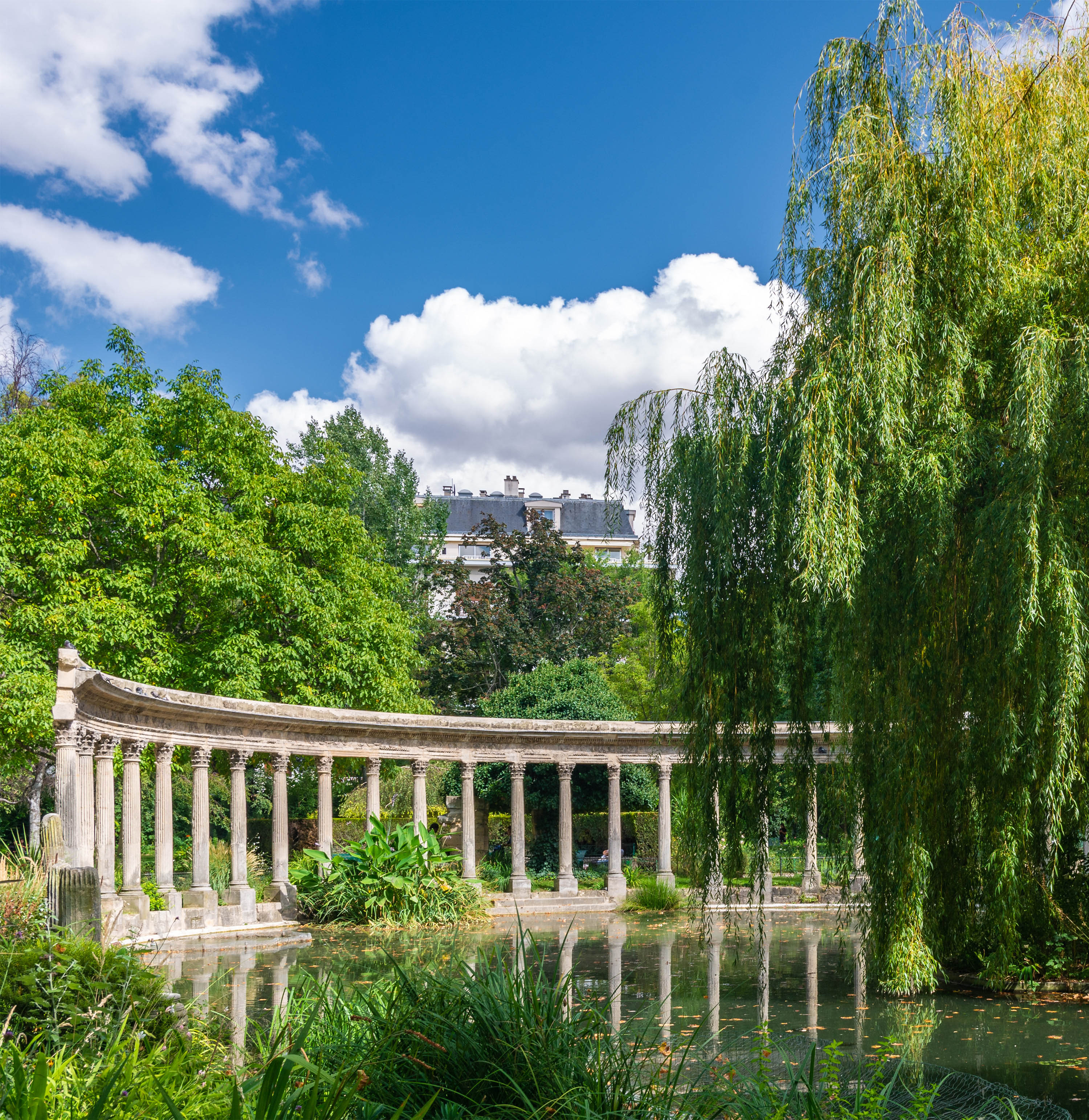 Arbres dans un parc